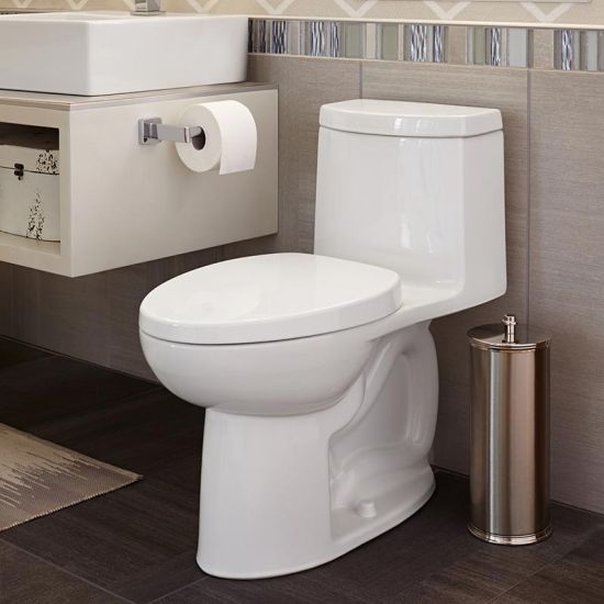 Loft Right Height Elongated One Piece Toilet 4
